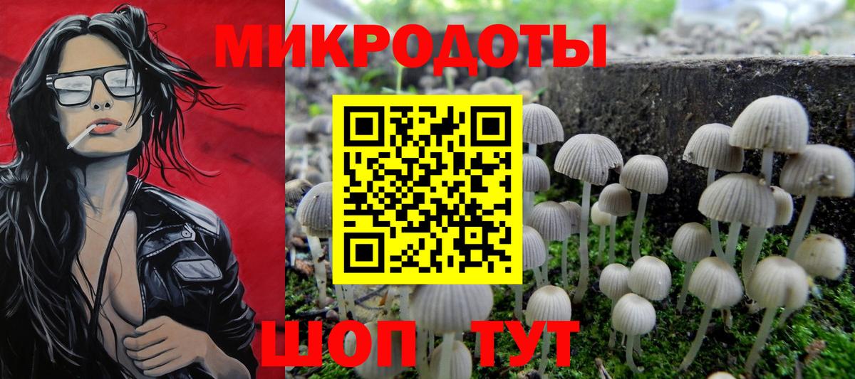 Набережные Челны  Псилоцибиновые грибы Psilocybine cubensis  Галлюциногенные грибы Psilocybe  Вход с VPN 